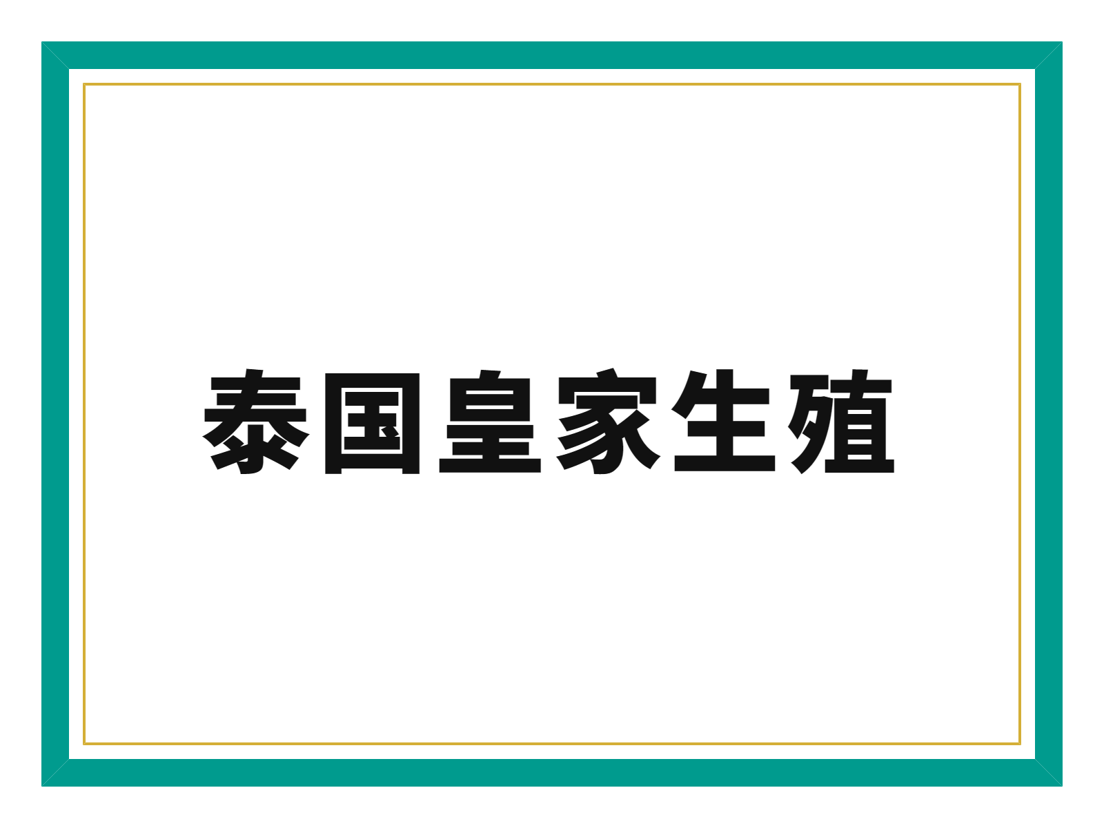 结核病史导致内膜钙化、宫腔粘连，被判“生育死刑”——泰国REP医院用宫腔镜冷刀分离+PRP灌注+无创PGT，助我逆袭